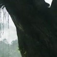 bom_7746's profile picture. 