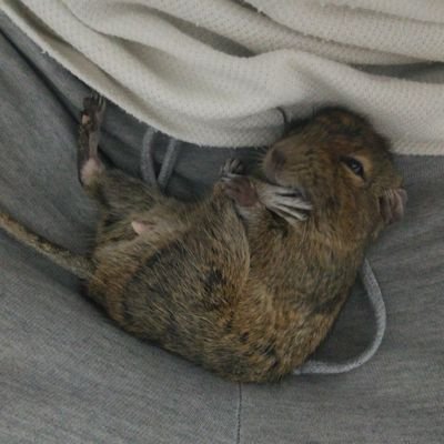 YouNaganaga's profile picture. メタプラしか勝たん🚀