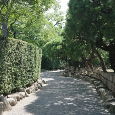 gp7qc195621's profile picture. 