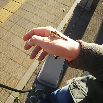 生きてく希望は既に無いけれど、死ぬ事も多分怖くて、ズルズル生きてる中年です。
自分には何の力も有りませんが、せめて若い世代にこの日本を良い形で残したい…
そう思う今日此の頃です。