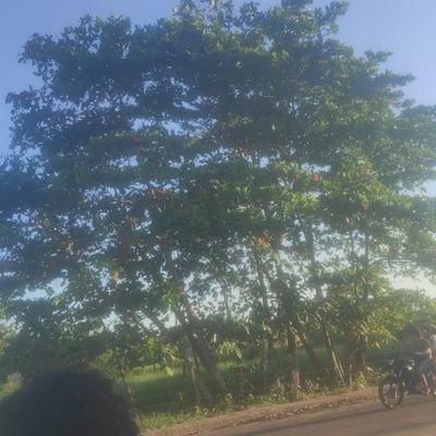 deusth191828's profile picture. 