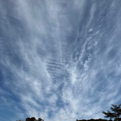 バイナリー負け貧乏です。たくさんのツールやレクチャーを試してきました。でも勝てません。巷には益々、ビックマウスなトレーダーさんたちがいますが、結局は有料案件への誘導。疑問だらけの業界に未だ懲りずに立ち向かう仲間をつくりたい!負け組集合!多数の経験や失敗談、挑戦している手法などの情報交換しませんか?負け組のコミュニティ!