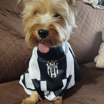 Huper1507's profile picture. no hay mucha cosa interesante aquí
(mi perro es lo único top)

pero bienvenid@