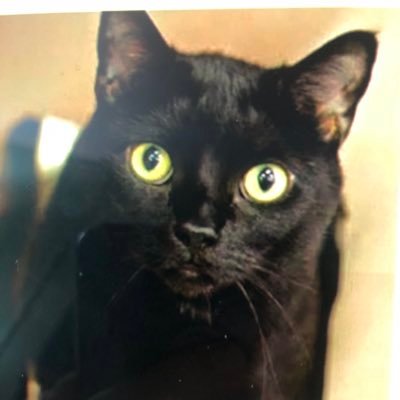 maggieV57675742's profile picture. 66 yo independent voter. Not a fan of fragile Narcissists , scammers, or hypocrites. ❤️🤍💙🇺🇸🙏🎚️. love God, Trump and freedom. no DM’s