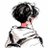 ZENVLO_minimum's profile image