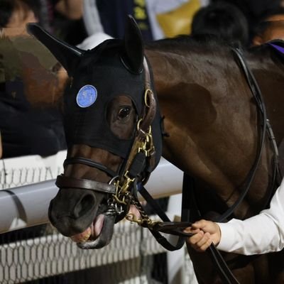 Eito_FGOMoomin's profile picture. 競馬とゲームの垢｡全人馬応援。 特に武豊騎手とドウデュース号を応援しています。 応援のため北海道から関東、関西へと遠征し中央地方どちらも行きます。 夏は札幌､函館競馬場､その他門別競馬場と出没。たまに南関東にも遠征してます。 
アイコンはオーサムリザルト号。
(注⚠)私が撮影した写真、動画の無断転載・使用禁止）