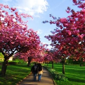 The first half of life is devoted to forming a healthy ego, the second half is going inward and letting go of it. ~ Carl Jung