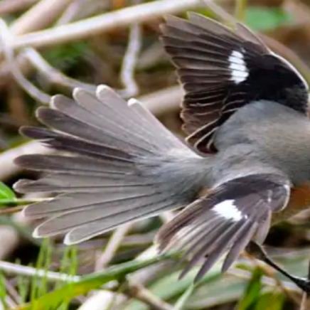 EiDGEDWlJb21392's profile picture. 皆さまのツイートでニュースや出来事を学んでいます。よろしくお願いします。