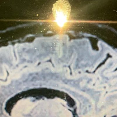 A_n_natomy's profile picture. Vulcan mind, qowat milat spirit, klingon endurance, elaysian body - a.k.a. M.E. or me.