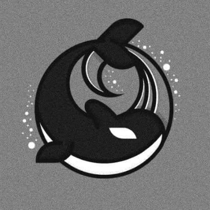 Where AI meets Alpha → Whale moves, market insights, crypto flow