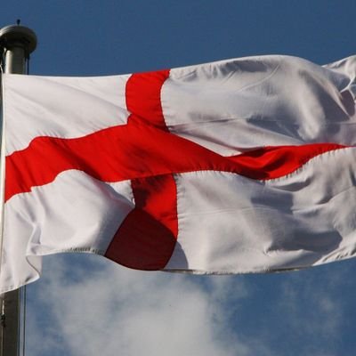 groovy_gill's profile picture. 