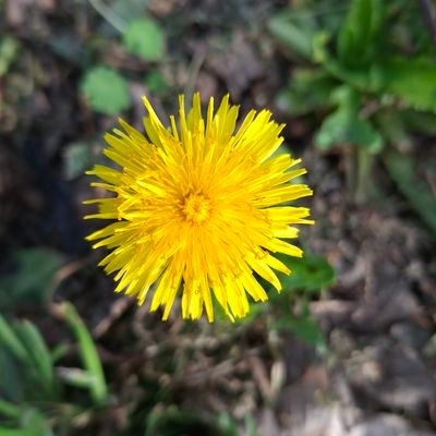 MagalyAltamira8's profile picture. 