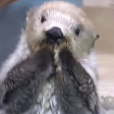 overro_1's profile picture. 株初心者🔰毎日完敗してます