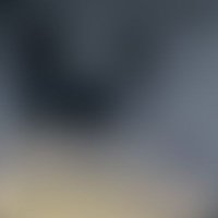 ステゴロサウルス (@paneity_oo) 's Twitter Profile