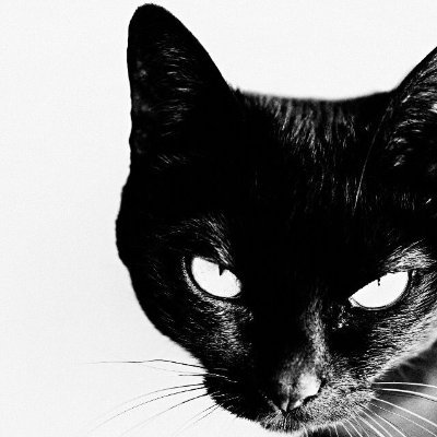 suewaa's profile picture. for mika and brent 💜