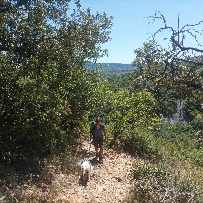 DeWitteKaproen's profile picture. Eco-conservatief uit de Vlaamse beemden.