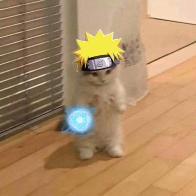 cactusdealoe's profile picture. 🌿