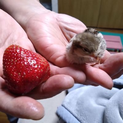 Youさんのプロフィール画像