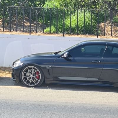 ricardojgms's profile picture. 