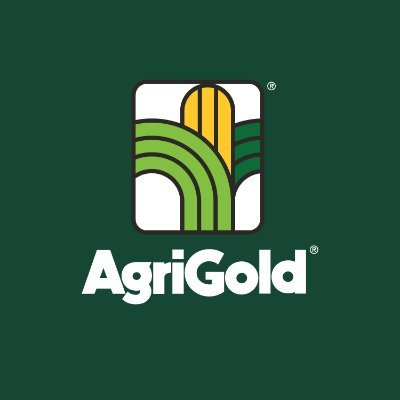 Since 1936, we've focused 100% on seed, delivering trusted genetics and solutions-focused support to help you get more out of every acre.