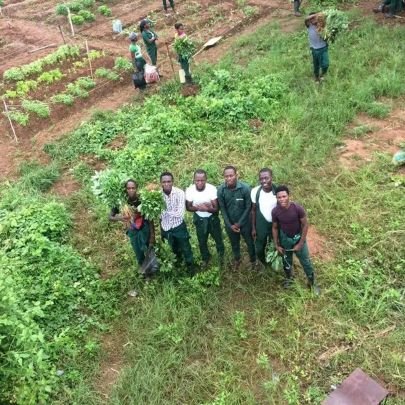 agrotech_newgen's profile picture. New Generation of Agriculture & Technology || Student @FUNAABNigeria