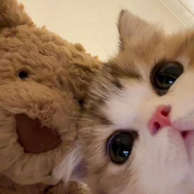 chenxi061824's profile picture. Lucky