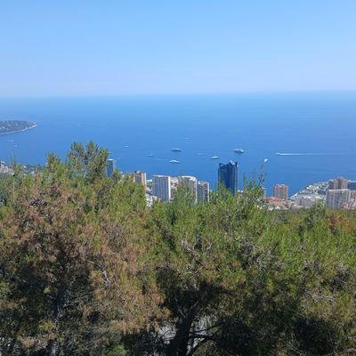 crypto passionate..
RNB Rentible (Rwa narritive) and BaB Billions and Billions Holders
i believe in long term projects...