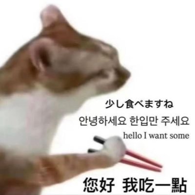 luyi0419's profile picture. damm life! gonna find out my way soon;