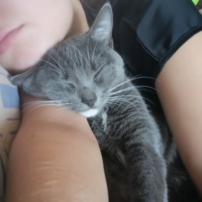 ShirukamiOxid's profile picture. 