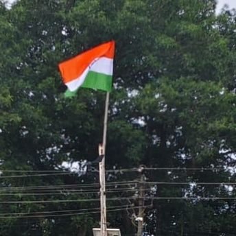 7MxfOLe3DiuRztF's profile picture. 