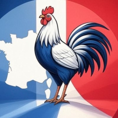 Juste la France n'est pas un parti politique mais une INITIATIVE CITOYENNE ambitionnant de provoquer l'union des partis et politiciens du CAMP NATIONAL PATRIOTE