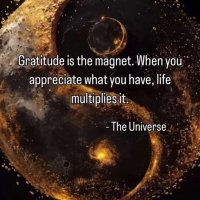 Dear Inaya (@dearinayaa) 's Twitter Profile Photo