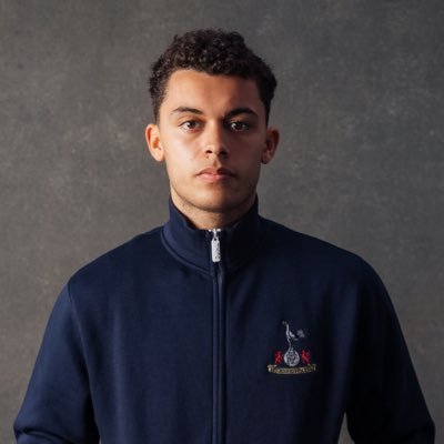 English isn't my main language, but I'm trying |Tottenham 24/7 #COYS
