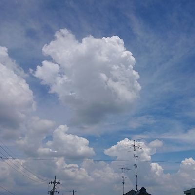 Wyf1eXaxDa20685's profile picture. @suzumikan911 から独立／ガクテンソク(最推し)、オジサンズ8、銀銀学学推しのお笑い関係アカウントです。たまに日常。／無言いいね、フォロー、リポスト失礼します🙇／フォロー付け外し、どうぞお気軽に☺️／※DMのやり取りは控えさせて頂いています🙅