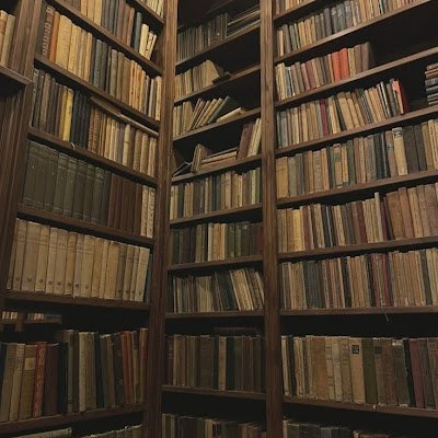 «لستُ ناقدة محترفة، أنا فقط قارئة شغوفة أكتب ما يتركه الكتاب من أثر. أؤمن أن كل كتاب مرآة تعكس جزءًا من أرواحنا.» 📚✨
#مرآة_الكتب