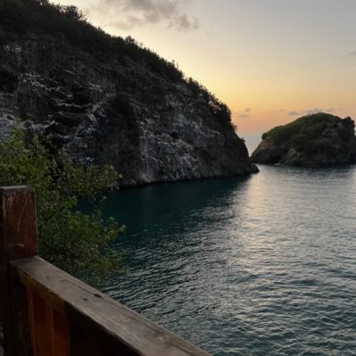 AlfidiAsee61050's profile picture. 