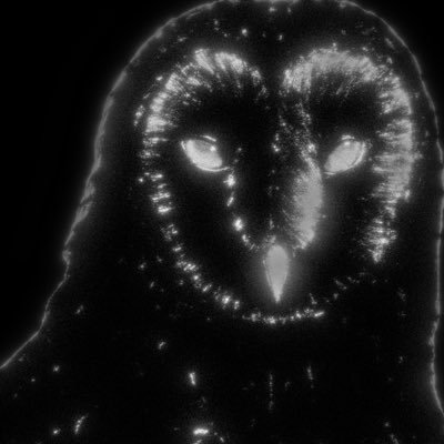 efedoggu's profile picture. 