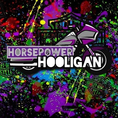 Just your friendly neighborhood horsepower hooligan. you can drive a fast bike slow. but you can't drive a slow bike fast! ✌️👇