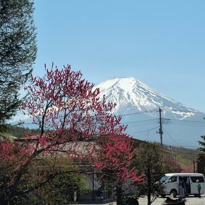 L30_Mart's profile picture. 🇨🇴🇨🇦 
Personal opinions! Mostly reposting and GIFs.
No importa el lugar del mundo, la ultra derecha tiene pocas neuronas y una inclinación al crimen!!