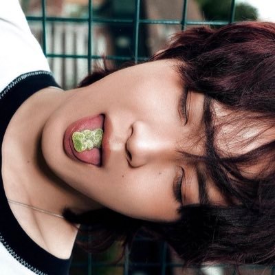 support @ haechannahceah ㅤ ㅤ ㅤ ㅤ ㅤ ㅤ ㅤ ㅤ ㅤ ㅤ ㅤ ㅤ ㅤ ㅤ ㅤ ㅤ ㅤ ㅤ ㅤ ㅤ ㅤ ㅤ ㅤ ㅤ ㅤ ㅤ ㅤ ㅤ ft. 🐺 ❀•♪.。‧:❉:‧ mutui 🥓 ft. juju🐶 🪥