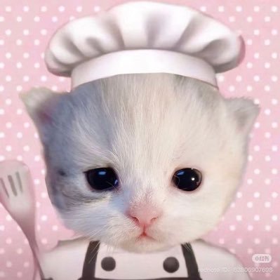 yllxnk's profile picture. 