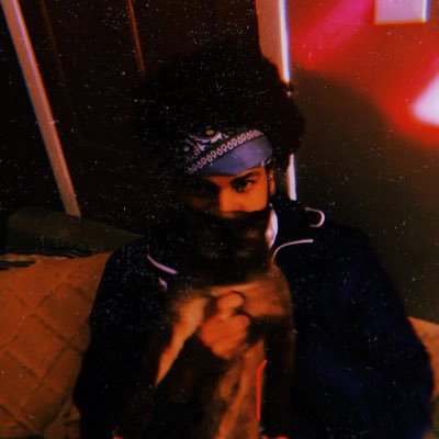 grandbandicota's profile picture. professional seeker🐀