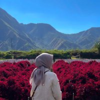 REST (@febianingr38036) 's Twitter Profile Photo REST (@febianingr38036) 's Twitter Profile Photo