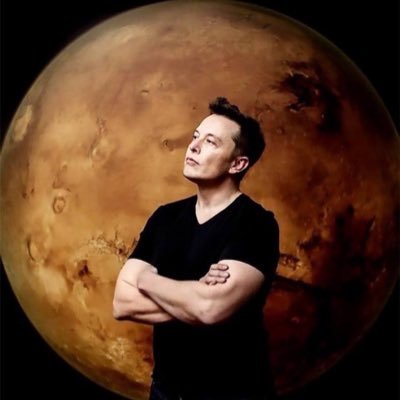 Neurosurgeon. Healthy Life. 비트코인. 닥터스 테슬라 투자 클럽 회장. I grok Tesla.