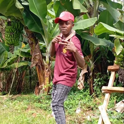 nyoikep63's profile picture. 