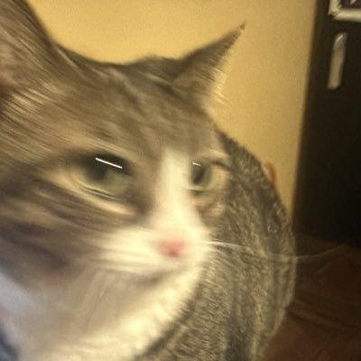 NooobusPriv's profile picture. priv account for @Nooobus2 feel free to request if we interact often