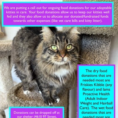 We are a non-profit, no-kill, volunteer based rescue dedicated to saving unwanted and homeless cats facing euthanasia in Edmonton, Alberta