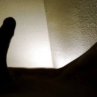 Hael_Gray00's profile picture. 💦