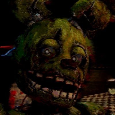 20 | ♂ | RE/FNAF ღ | U.S.S Alpha Team Leader | DBD Springtrap main