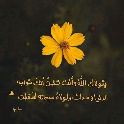 AsmaTarig23824's profile picture. 
